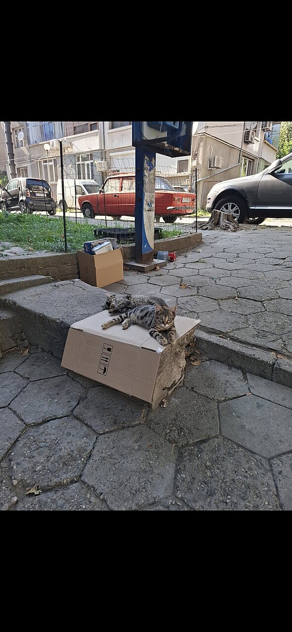 Натиснете снимката за да я уголемите

Име:Screenshot_20250821_193337_Gallery.jpg
Прегледи:176
Размер:333.9 КБ
ID:7008573