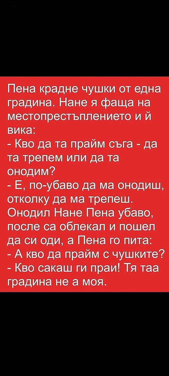 Натиснете снимката за да я уголемите

Име:529342493_9861677640600145_5840678620806712602_n.jpg
Прегледи:304
Размер:135.0 КБ
ID:7008600