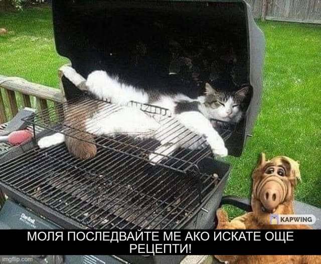 Натиснете снимката за да я уголемите

Име:536271913_1343513971109957_5488082964669360747_n.jpg
Прегледи:566
Размер:55.2 КБ
ID:7008819