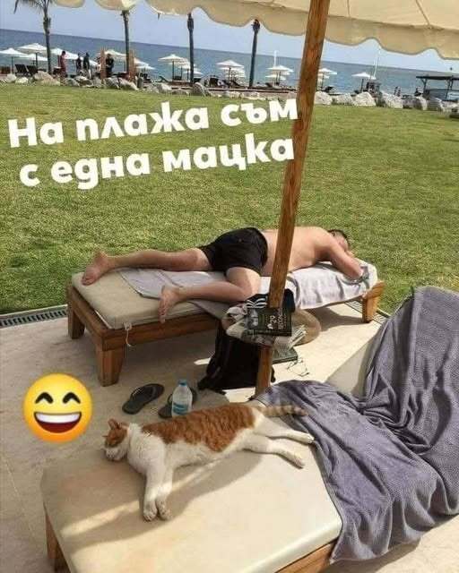 Натиснете снимката за да я уголемите

Име:538573752_3015346498647693_2678476427131401612_n.jpg
Прегледи:489
Размер:49.3 КБ
ID:7008923