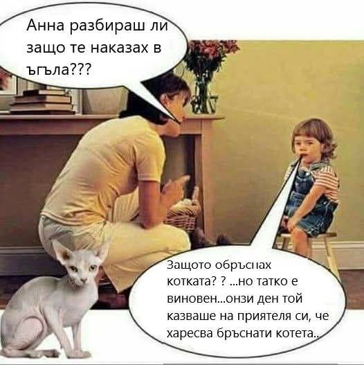 Натиснете снимката за да я уголемите

Име:539816397_24874612255477564_2870800927422912808_n.jpg
Прегледи:221
Размер:42.0 КБ
ID:7009223