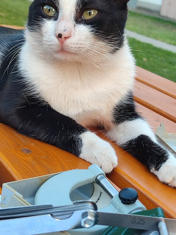 Натиснете снимката за да я уголемите  Име:IMG_20250903_192156.jpg Прегледи:0 Размер:519.7 КБ ID:7009532