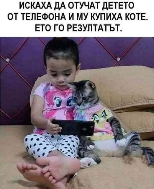 Натиснете снимката за да я уголемите

Име:541376101_2608428619515466_6104002607204585125_n.jpg
Прегледи:8
Размер:37.0 КБ
ID:7009637