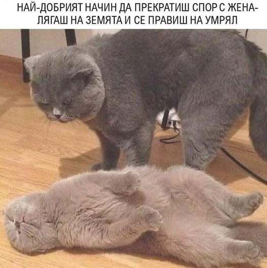 Натиснете снимката за да я уголемите

Име:542594235_2207317749771143_486374372708034456_n.jpg
Прегледи:551
Размер:33.4 КБ
ID:7009762