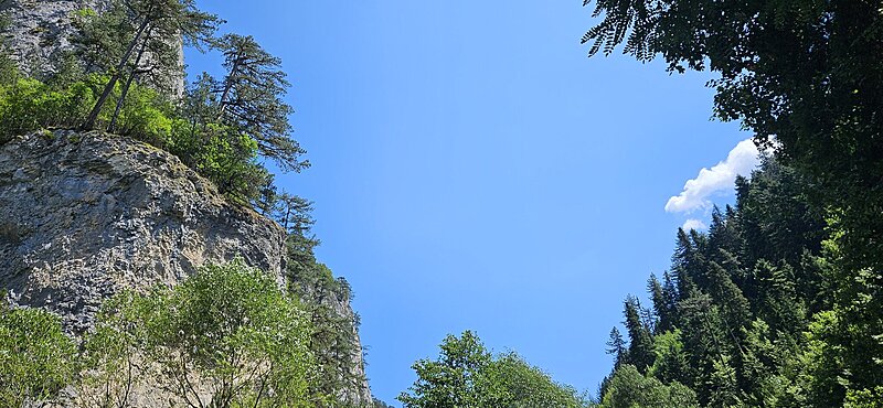 Натиснете снимката за да я уголемите

Име:20250803_131418.jpg
Прегледи:121
Размер:575.2 КБ
ID:7009984