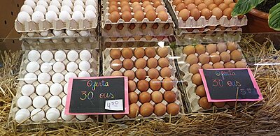 Натиснете снимката за да я уголемите  Име:20230210_110030.jpg Прегледи:0 Размер:440.6 КБ ID:7010061