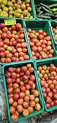 Натиснете снимката за да я уголемите  Име:20250112_113848.jpg Прегледи:0 Размер:488.6 КБ ID:7010064