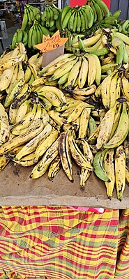 Натиснете снимката за да я уголемите  Име:20250112_114231.jpg Прегледи:0 Размер:578.1 КБ ID:7010065