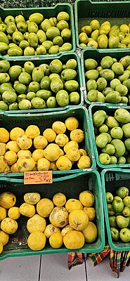 Натиснете снимката за да я уголемите  Име:20250112_113914.jpg Прегледи:0 Размер:521.4 КБ ID:7010066