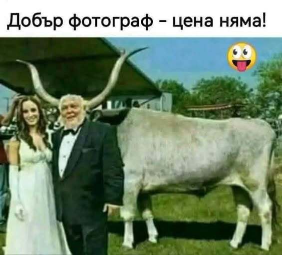 Натиснете снимката за да я уголемите

Име:547766352_840808031949130_3758573874317947292_n.jpg
Прегледи:579
Размер:27.9 КБ
ID:7010451