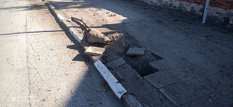 Натиснете снимката за да я уголемите  Име:Дървото.jpg Прегледи:0 Размер:200.3 КБ ID:7011283