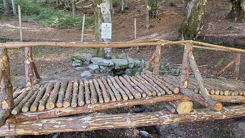 Натиснете снимката за да я уголемите

Име:20250927_111206.jpg
Прегледи:25
Размер:909.5 КБ
ID:7011623