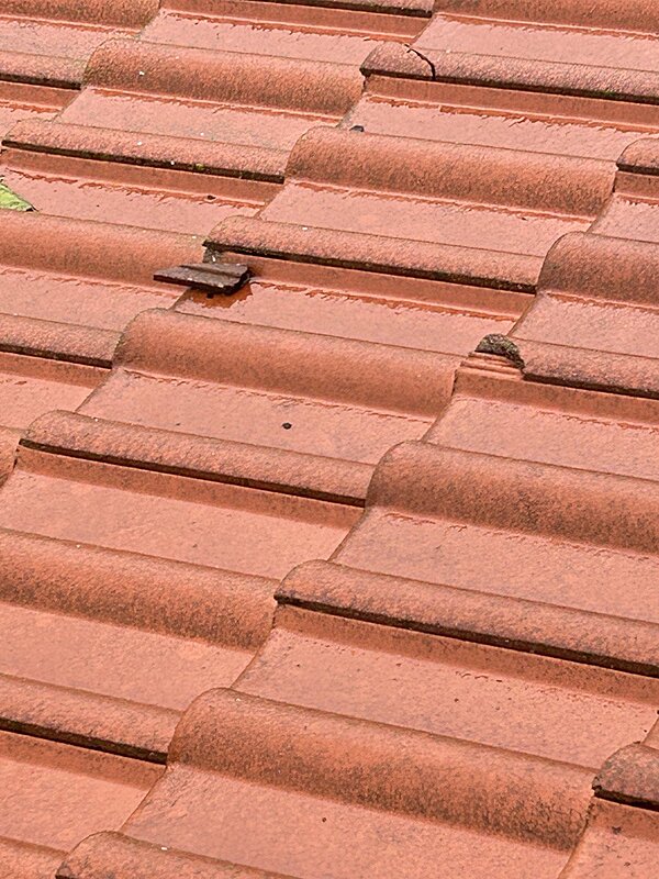 Натиснете снимката за да я уголемите

Име:image_951049.jpg
Прегледи:215
Размер:285.3 КБ
ID:7011982