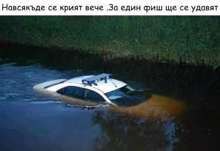 Натиснете снимката за да я уголемите

Име:559017009_1127298356177097_8905002827550147908_n.jpg
Прегледи:0
Размер:26.1 КБ
ID:7012515
