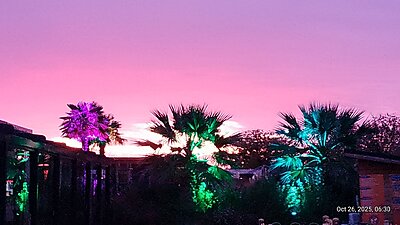 Натиснете снимката за да я уголемите

Име:IMG_20251026_063026_614.jpg
Прегледи:27
Размер:301.1 КБ
ID:7013819