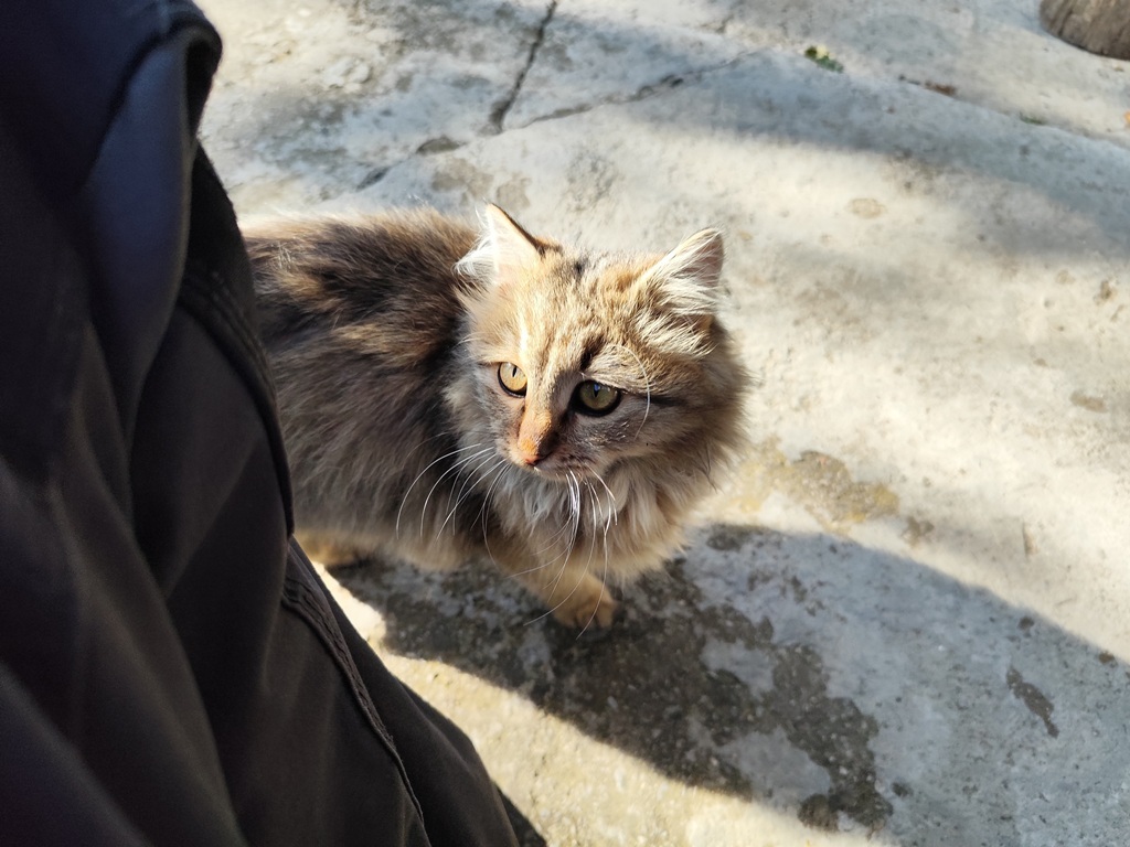 Натиснете снимката за да я уголемите  Име:IMG_20251101_134559.jpg Прегледи:73 Размер:203.4 КБ ID:7014338