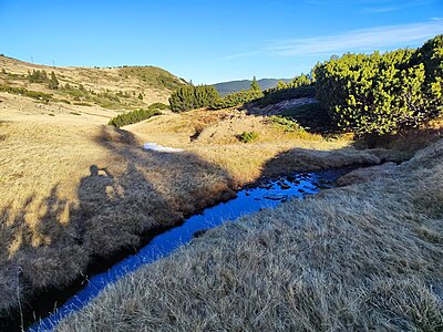 Натиснете снимката за да я уголемите

Име:IMG_20251102_155348.jpg
Прегледи:98
Размер:1.01 МБ
ID:7014463