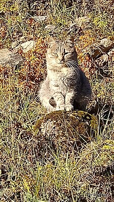 Натиснете снимката за да я уголемите

Име:IMG_20251101_081143_298.jpg
Прегледи:56
Размер:804.5 КБ
ID:7014736