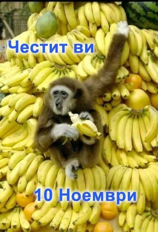 Натиснете снимката за да я уголемите

Име:20251110_113829.jpg
Прегледи:57
Размер:63.0 КБ
ID:7014920