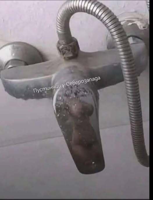 Натиснете снимката за да я уголемите

Име:571323932_24851401781147101_6442884715314823996_n.jpg
Прегледи:27
Размер:20.4 КБ
ID:7014939