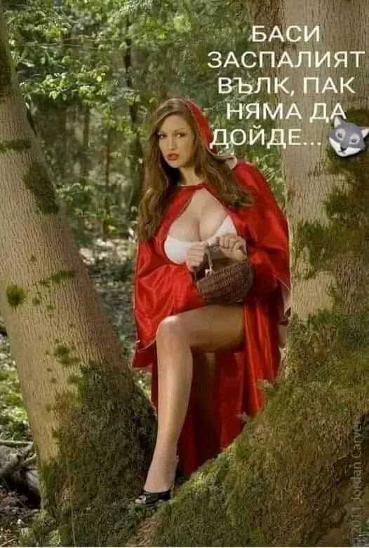 Натиснете снимката за да я уголемите

Име:585848687_1514342729819738_58077429955792026_n.jpg
Прегледи:87
Размер:45.4 КБ
ID:7015984