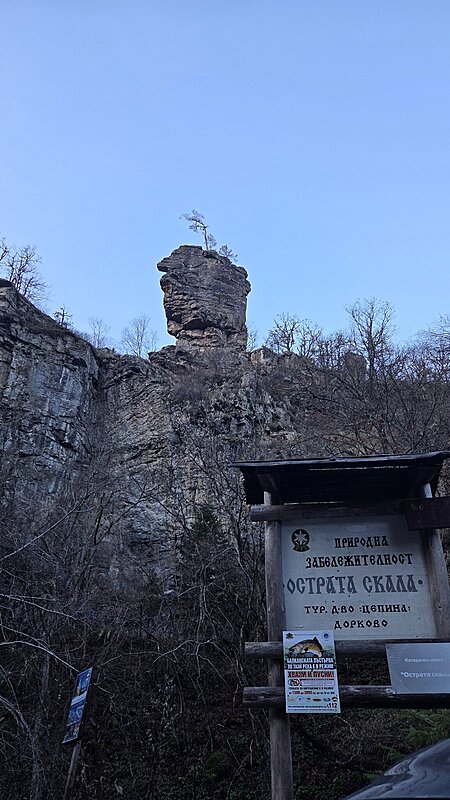 Натиснете снимката за да я уголемите

Име:20251122_144112.jpg
Прегледи:16
Размер:482.0 КБ
ID:7016073