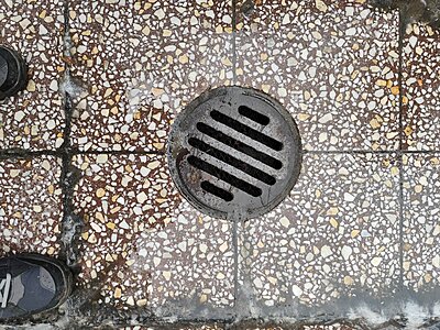 Натиснете снимката за да я уголемите

Име:IMG_20251130_122405.jpg
Прегледи:44
Размер:1.14 МБ
ID:7017040