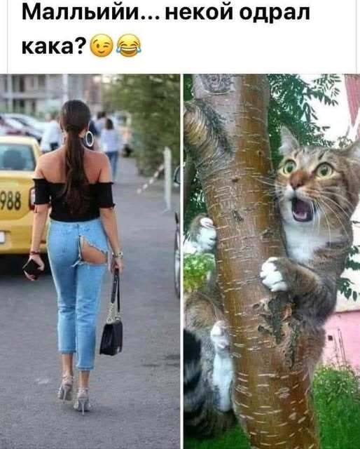 Натиснете снимката за да я уголемите

Име:550520779_24485110591117798_9141400046134565356_n.jpg
Прегледи:43
Размер:42.4 КБ
ID:7018186