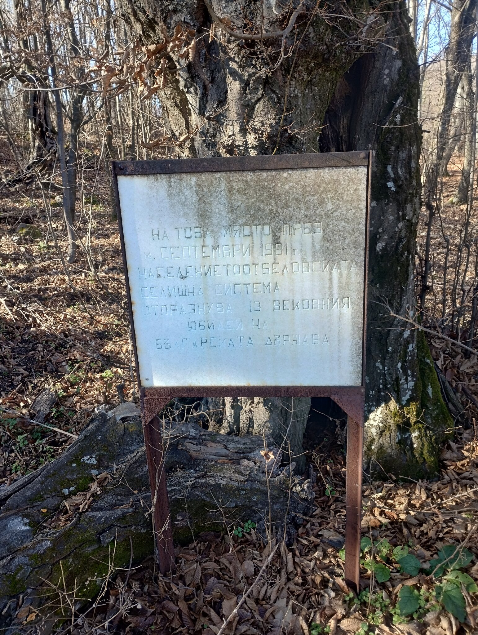 Натиснете снимката за да я уголемите

Име:681.jpg
Прегледи:54
Размер:1.03 МБ
ID:7018305