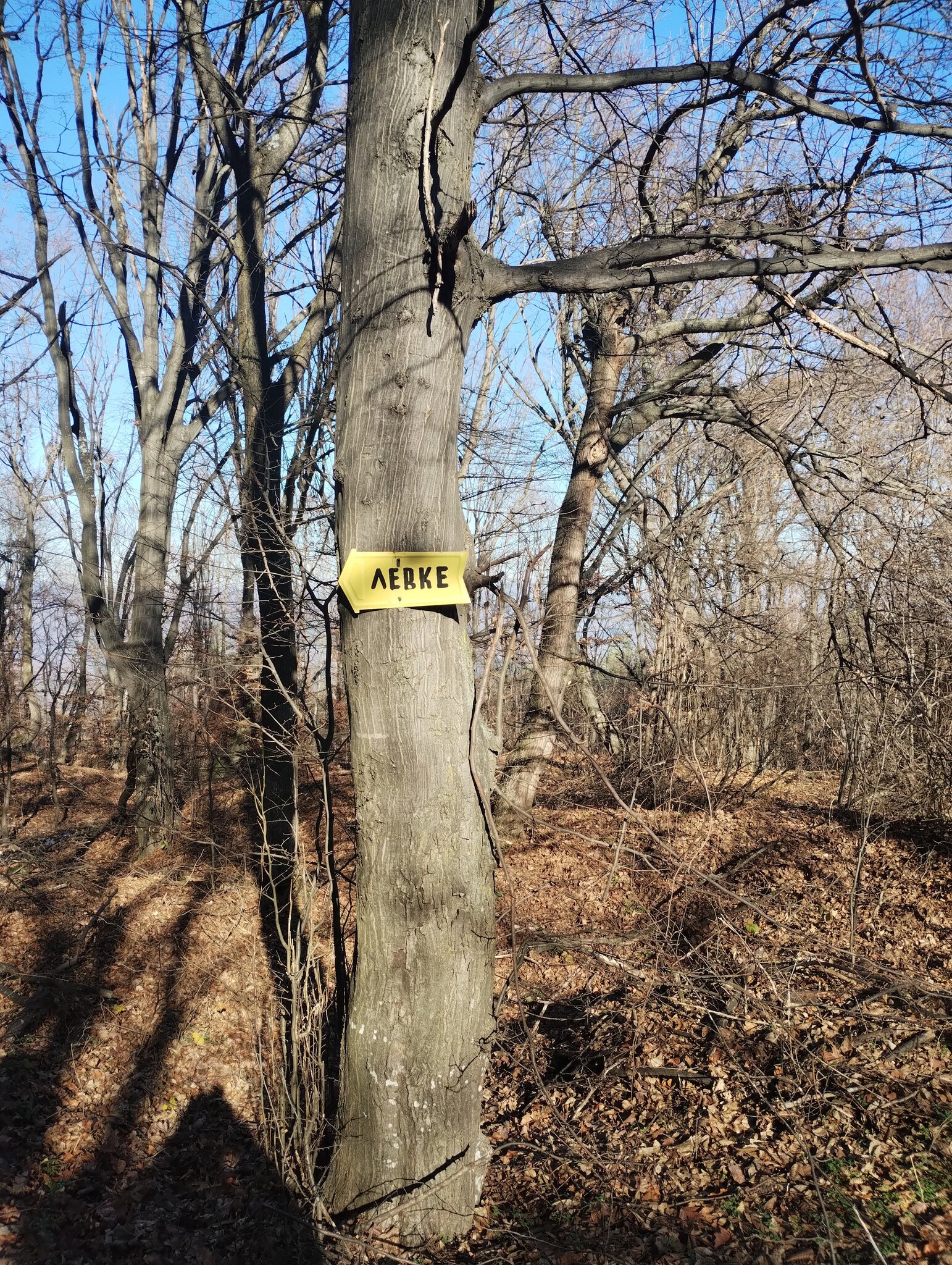 Натиснете снимката за да я уголемите

Име:Levke_tab.jpg
Прегледи:0
Размер:1.37 МБ
ID:7018316