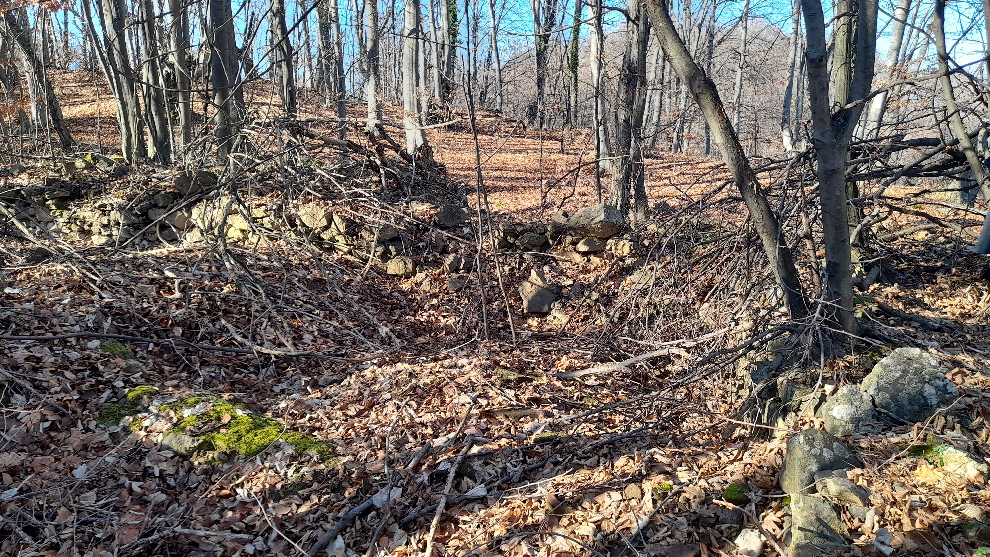 Натиснете снимката за да я уголемите

Име:20251213_122817.jpg
Прегледи:0
Размер:1.52 МБ
ID:7018317