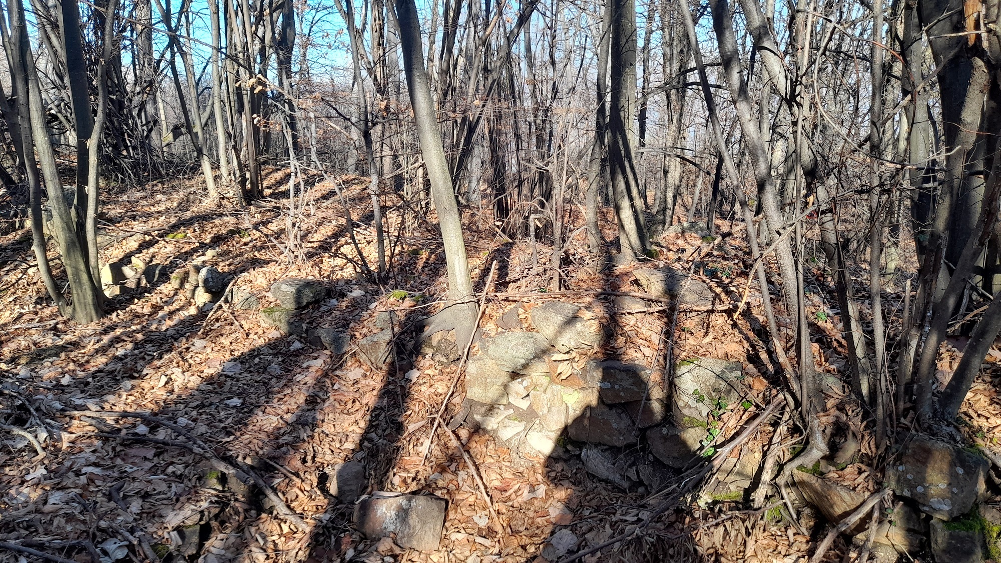 Натиснете снимката за да я уголемите

Име:20251213_122740.jpg
Прегледи:0
Размер:1.43 МБ
ID:7018318