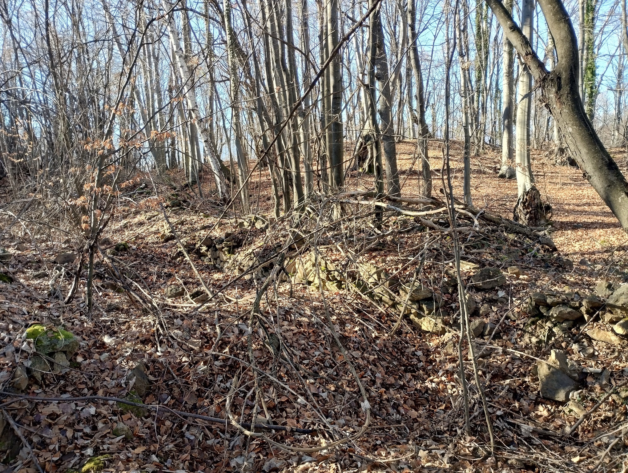 Натиснете снимката за да я уголемите

Име:IMG_20251213_122703883_HDR.jpg
Прегледи:0
Размер:2.13 МБ
ID:7018319