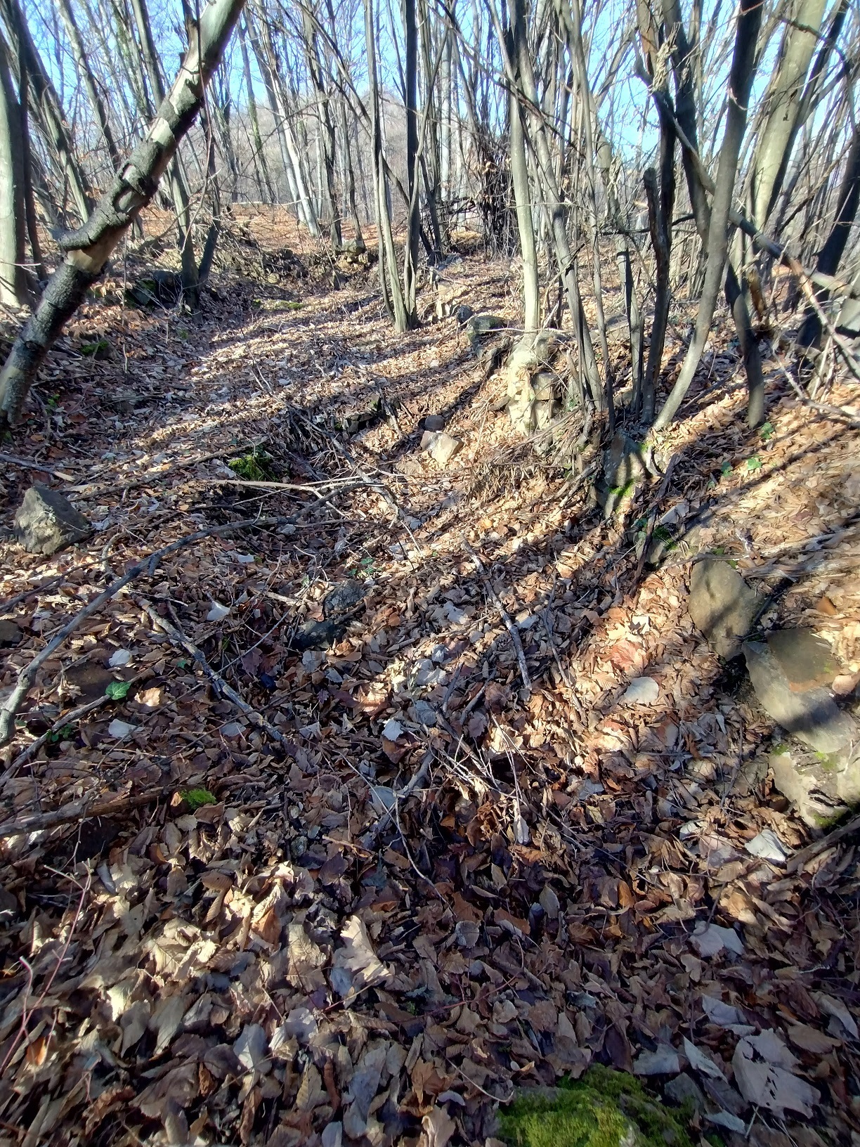 Натиснете снимката за да я уголемите

Име:IMG_20251213_122606389_HDR.jpg
Прегледи:0
Размер:1.19 МБ
ID:7018320