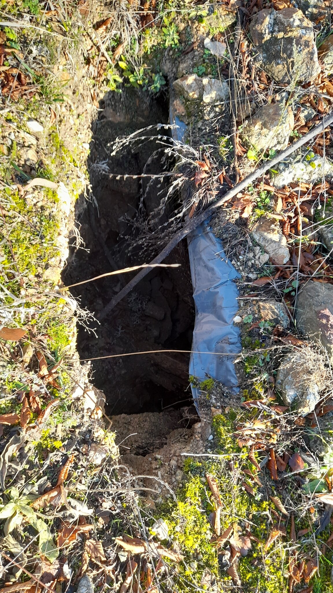 Натиснете снимката за да я уголемите

Име:20251213_124357.jpg
Прегледи:0
Размер:864.2 КБ
ID:7018321