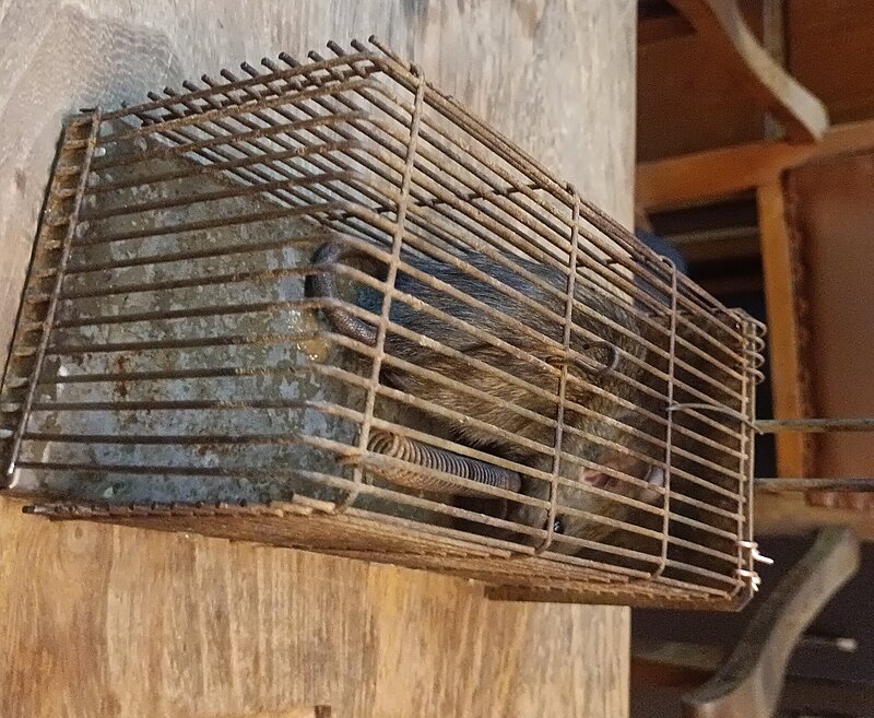 Натиснете снимката за да я уголемите

Име:IMG_20251205_112546_743.jpg
Прегледи:177
Размер:789.5 КБ
ID:7021213