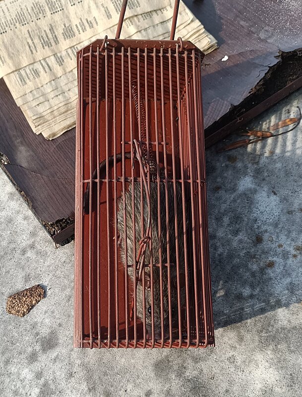 Натиснете снимката за да я уголемите

Име:IMG_20251217_111341_333.jpg
Прегледи:122
Размер:730.8 КБ
ID:7021269