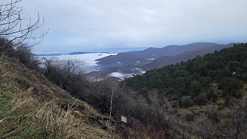 Натиснете снимката за да я уголемите

Име:20260110_165253.jpg
Прегледи:6
Размер:509.6 КБ
ID:7021391