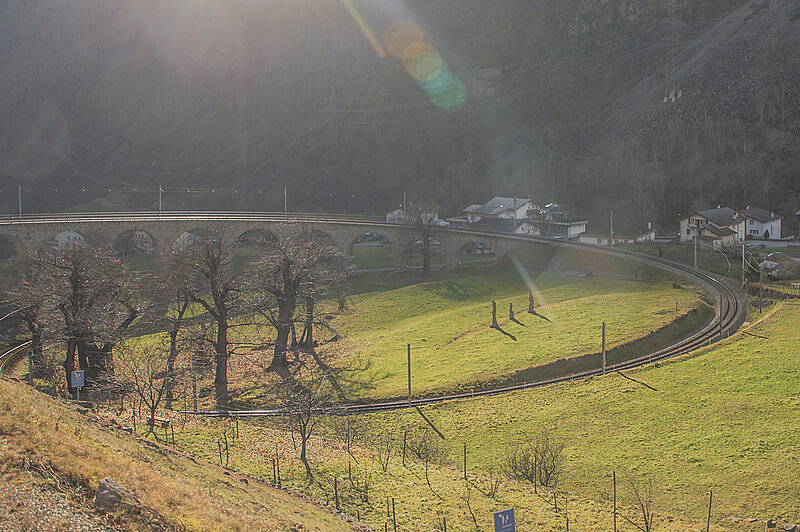 Натиснете снимката за да я уголемите

Име:780_2667.jpg
Прегледи:101
Размер:2.82 МБ
ID:7021571