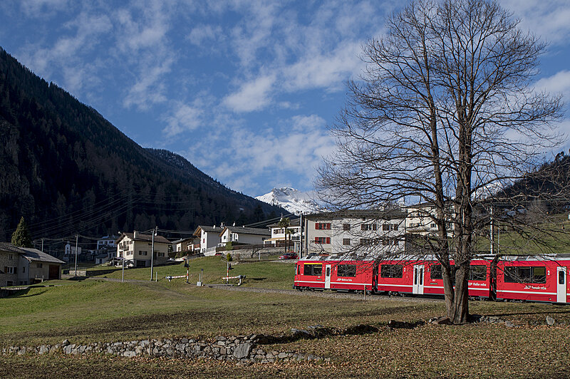 Натиснете снимката за да я уголемите

Име:780_2681.jpg
Прегледи:102
Размер:2.80 МБ
ID:7021573