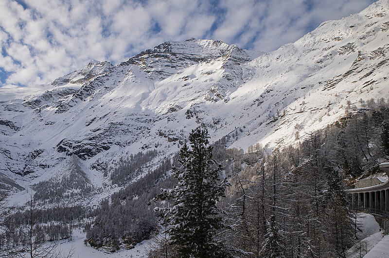Натиснете снимката за да я уголемите

Име:780_2860.jpg
Прегледи:104
Размер:3.00 МБ
ID:7021578
