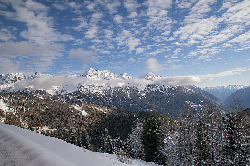 Натиснете снимката за да я уголемите

Име:780_2869.jpg
Прегледи:104
Размер:2.45 МБ
ID:7021579