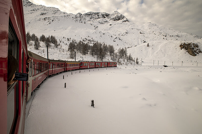 Натиснете снимката за да я уголемите

Име:780_2945.jpg
Прегледи:105
Размер:1.78 МБ
ID:7021585