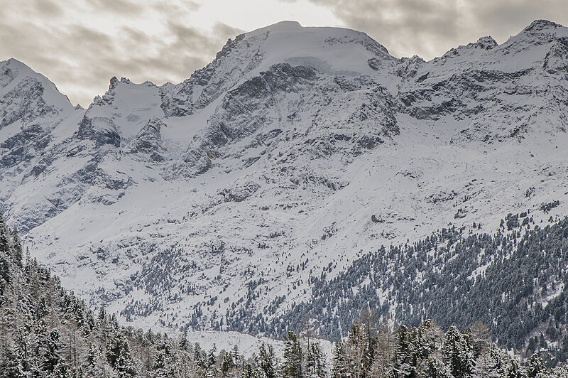 Натиснете снимката за да я уголемите

Име:780_2981.jpg
Прегледи:105
Размер:2.60 МБ
ID:7021590
