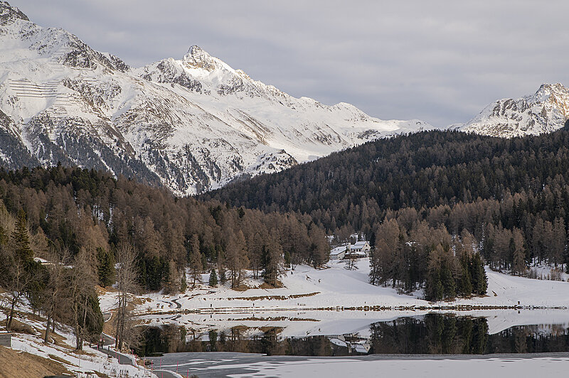 Натиснете снимката за да я уголемите  Име:780_3078.jpg Прегледи:0 Размер:2.52 МБ ID:7021602