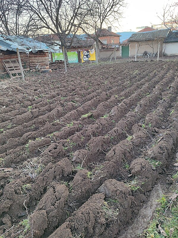 Натиснете снимката за да я уголемите  Име:IMG_20260112_171057.jpg Прегледи:0 Размер:1.23 МБ ID:7021624