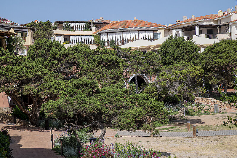 Натиснете снимката за да я уголемите  Име:780_9169.jpg Прегледи:4 Размер:3.58 МБ ID:7022258