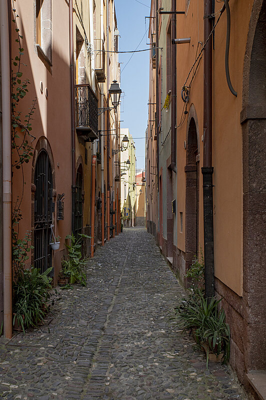 Натиснете снимката за да я уголемите  Име:780_9287.jpg Прегледи:71 Размер:708.3 КБ ID:7022319