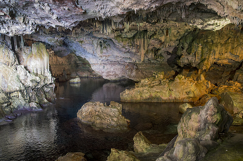 Натиснете снимката за да я уголемите  Име:780_9411.jpg Прегледи:0 Размер:2.90 МБ ID:7022366