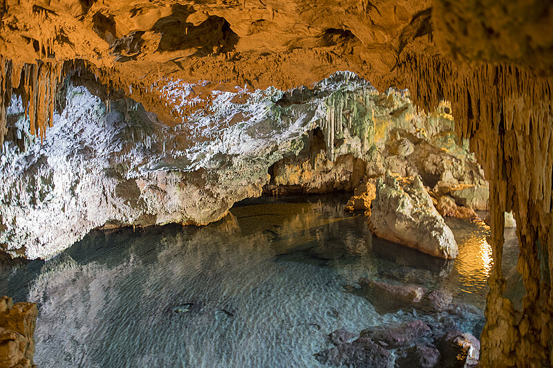 Натиснете снимката за да я уголемите  Име:780_9424.jpg Прегледи:0 Размер:2.94 МБ ID:7022369
